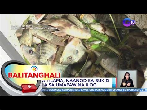 iyotan sa ilog|==iyotan sa ilocos norte .